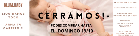 Imagen del carrusel blum.baby