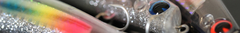 Banner de la categoría AGUA SALADA