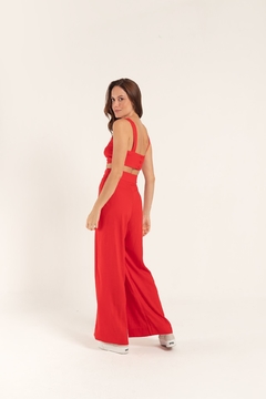 Top Cintia Vermelho na internet