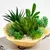 MOLDE SILICONA CUENCO FLOR ABIERTA - tienda online