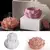 MOLDE SILICONA CAJA PORTA SAHUMERIO FLOR DE LOTO - Novara Store