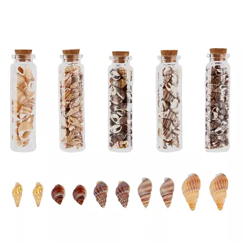 SET 5 FRASCOS MIX CARACOLES DECORACION ARTESANIA - comprar online