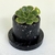 Maceta Tube - tienda online