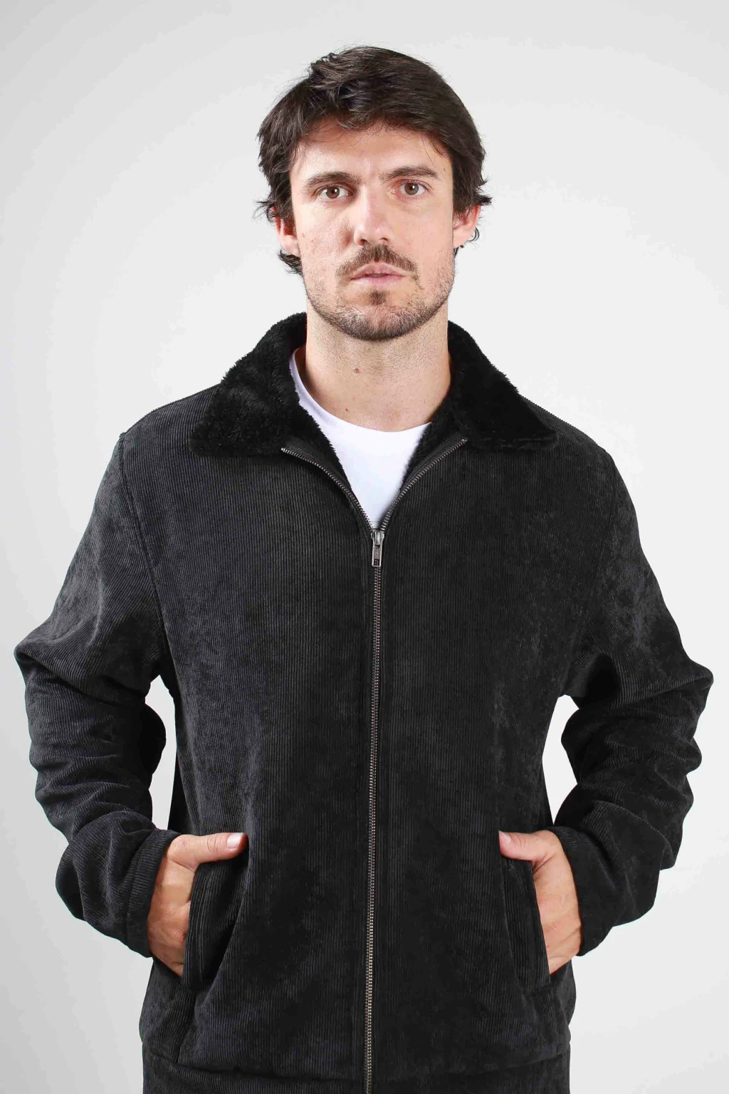 Campera Price