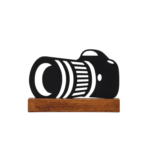 Escultura - Câmera Fotográfica