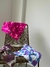 CALZA IMPORTADA | BATIK ♥ Cod 1055 - tienda online