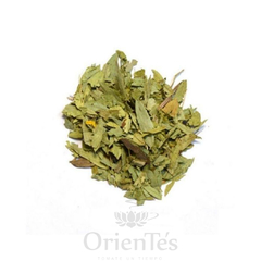 Sen x 40 gr - comprar online