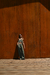 TOP ALBA_ (dos colores) en internet