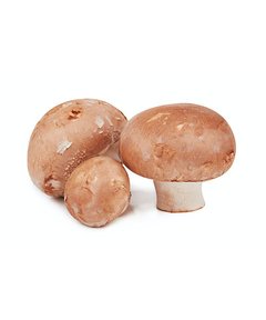 Cogumelos Sujo (bandeja) - comprar online