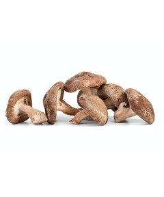 Cogumelos Shitake (bandeja)