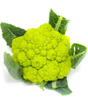 COUVE FLOR VERDE (UNIDADE) - comprar online