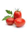 Tomate Italiano Graúdo (500 g)