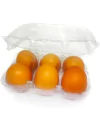 OVO ORGÂNICO (06 UNIDADES) - comprar online