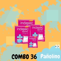 Combo 36 Indasec Pants Plus Large - Pañolino