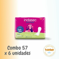 Combo 57 Indasec Mini x 20 (23x8) - comprar online
