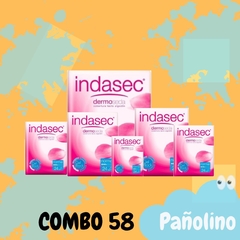 Combo 58 Indasec Normal x 24 (25x9) - Pañolino