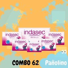 Combo 62 Indasec Goodnites Maxi x 12 (42x14) - Pañolino