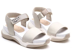 FESTA MARFIL en internet