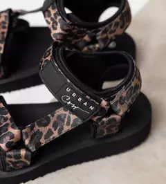 TANGER LEOPARDO en internet