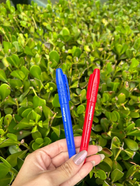 Caneta Permanente para Marcar Pad