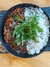 Wok de Carne con arroz - Elaboración Artesanal Casa Gourmet - Porción congelada 400 gr. - Envasada al vacío -