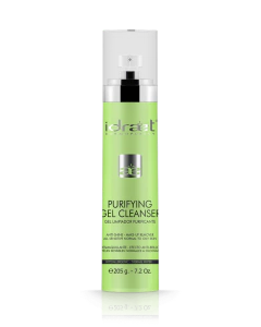 IDRAET GEL LIMPIADOR PURIFICANTE