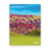CUADERNO 29,7 84HJ RAY AVON - comprar online