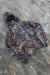 Zip Hoodie "RealTree" - comprar online