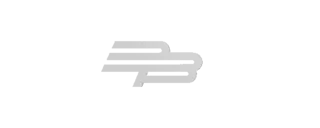 BAIB PROJECT
