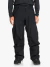 Pant Snow FOREVER GORE-TEX (KVJ0) (2242136020)