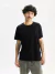TEE BASIC (61100) en internet