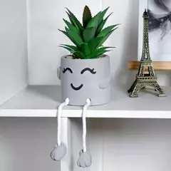 SUCULENTA EN MACETA FELIZ PATAS LAR