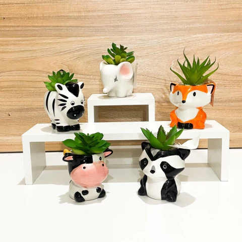 SUCULENTA EN MACETA ANIMALITO - comprar online
