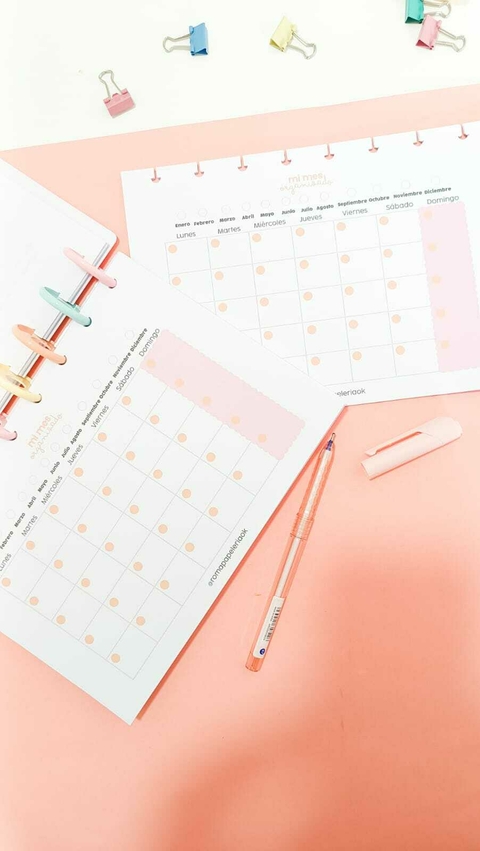 Repuesto para cuaderno de discos A5 - planner mensual