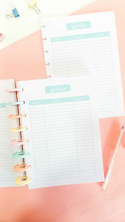 Repuesto para cuaderno de discos A5 - planilla de gastos