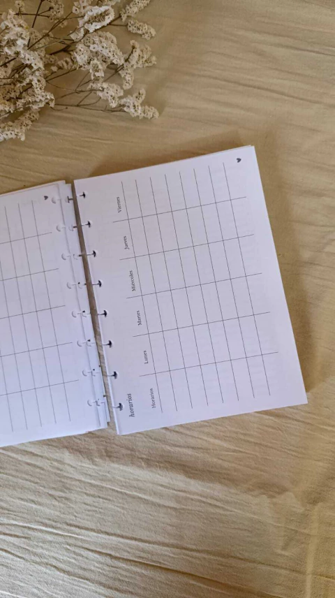 Repuesto Agenda 2026 semanal - comprar online