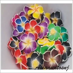 https://www.aviamentosnj.com.br/produtos/aplique-flor-pvc-tamanho-30mm-pacote-com-10uni/