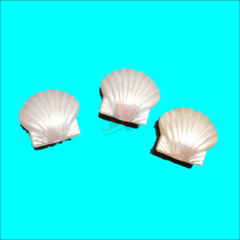 Concha ABS com Furo Passante  pacote com 500 gramas cor Branco ou perola