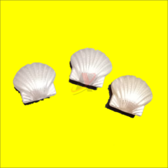 Concha ABS com Furo Passante  pacote com 500 gramas cor Branco ou perola