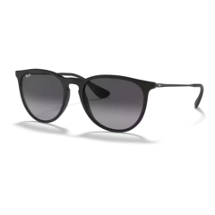 RAY-BAN 4171L ERIKA 622/8G NEGRO