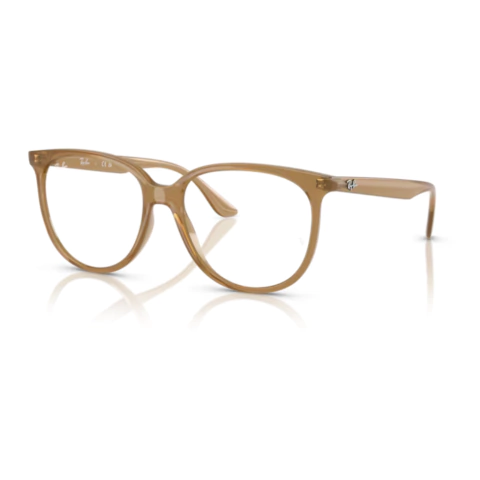 RAY-BAN 4378V ARENA