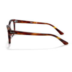 RAY-BAN 5383 MR BURBANK 2144 DIAM 52 en internet