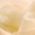 VOILE BEIGE ancho3.0 - comprar online