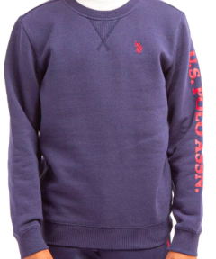 Buzo "USPoloassn". Azul marino con logo y estampada en rojo. Con frisa - comprar online