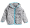 Campera "Andy & Evan"- Inflada gris con vivos en celeste - comprar online