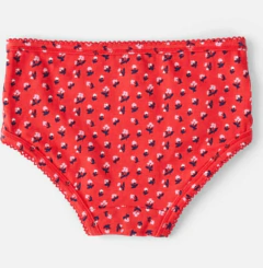 Bombachas "Carter´s" - Pack x 4 unidades - Rojo y blanco con florcitas en internet