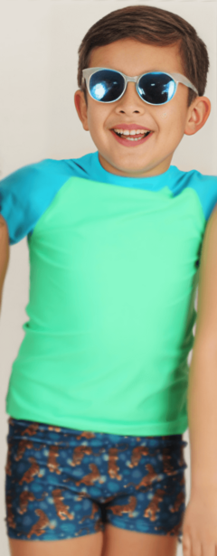Remera UV "Licor de miel" - Big Boy - Verde, manga 3/4 celeste - comprar online