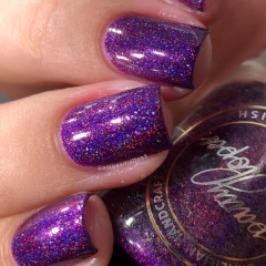 Burgundy Clownfish - loja online