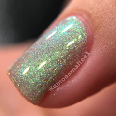 Blessed Life na internet