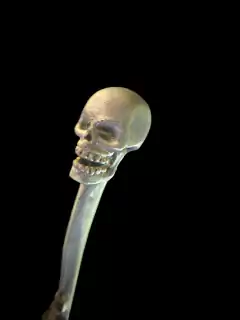 Imagem do Imã caveira duocolor dourado/preto cilindrico.